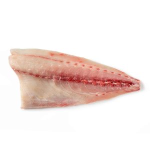 FILE DE AMBERJACK JAPONEZ (HAMACHI)