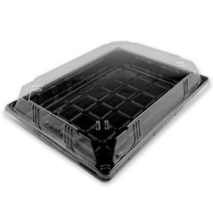 Set recipiente & capace takeaway A-08 (200buc) 250x190x22mm